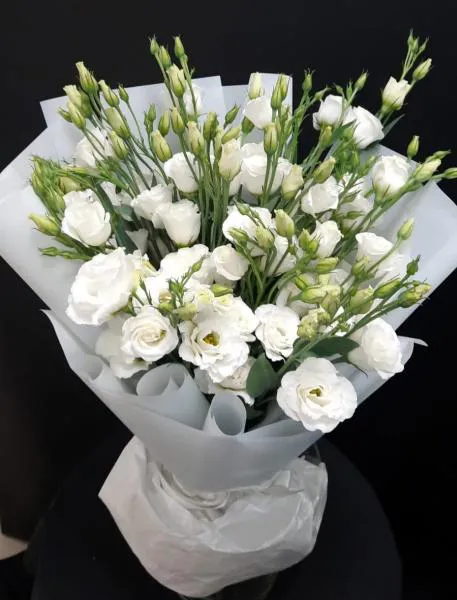 Утренний туман