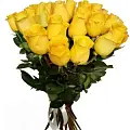 Желтые розы