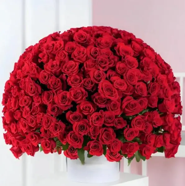 301 красная роза