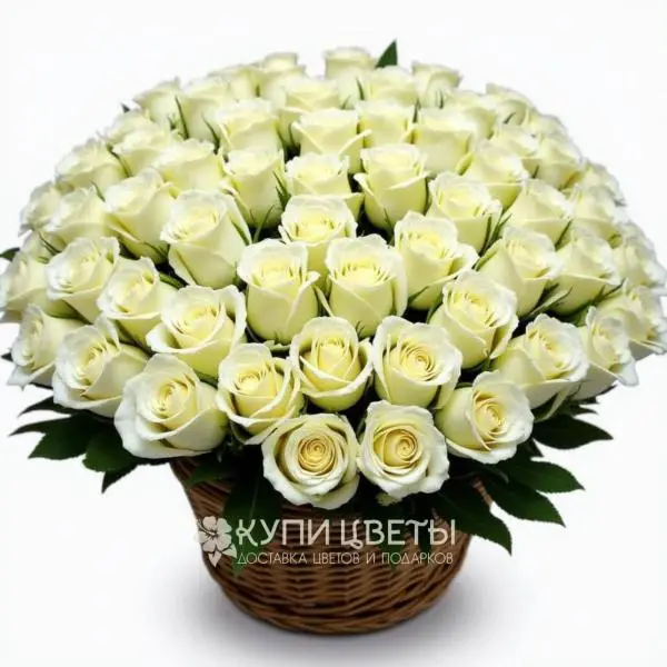 Корзина из 101 белой розы