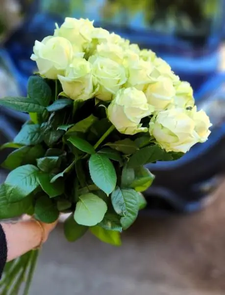 Букет из 21 белой розы