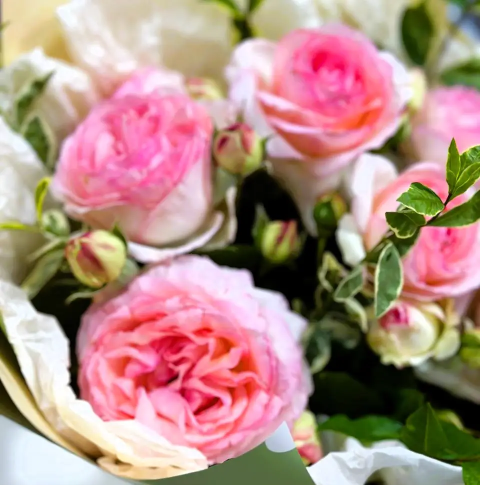 Песня пионов