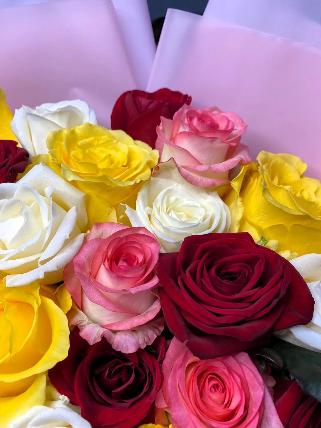 31 разноцветная роза