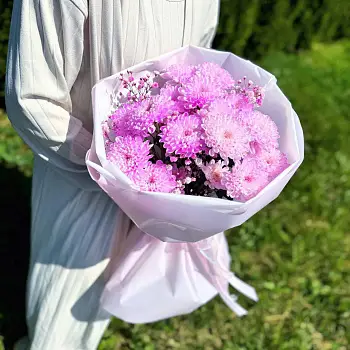 Застенчивый румянец 