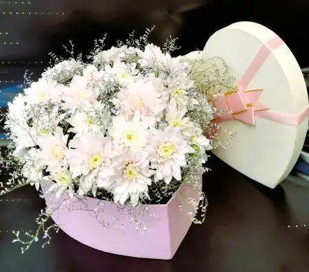 Мое сердце тебе 