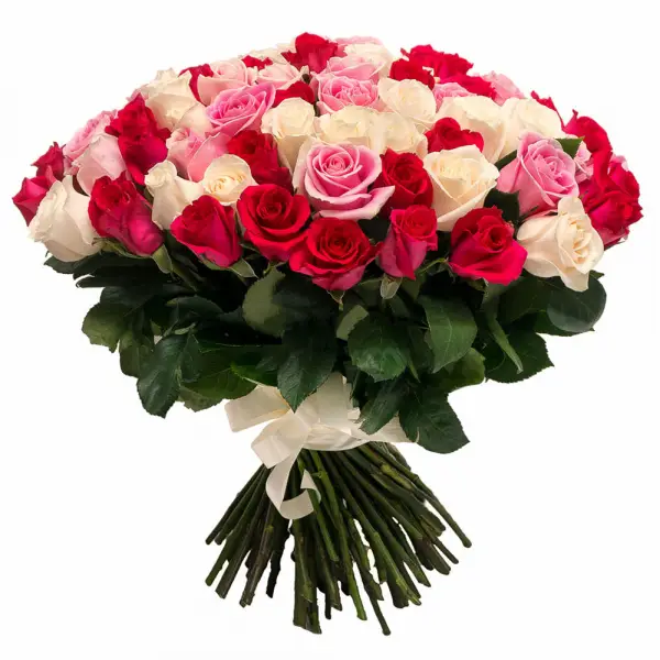 101 красно,бело-розовая роза