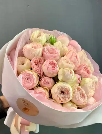 Очарование нежности