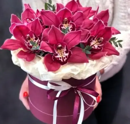 Орхидея в Шляпке