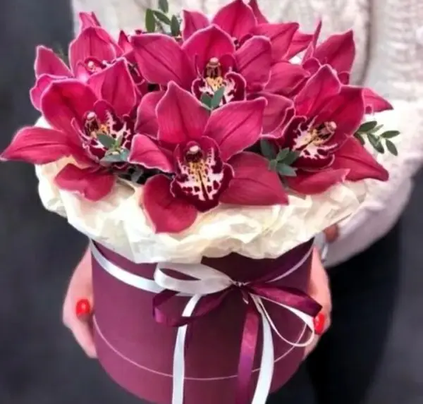 Орхидея в Шляпке