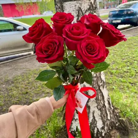 7 красных роз под ленту