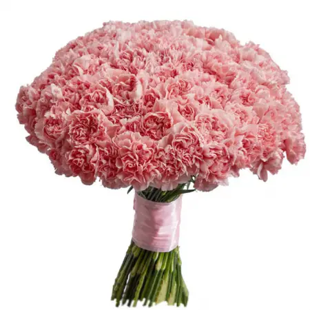 Моно букет из розовых гвоздик